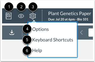 View SpeedGrader Menu Icons