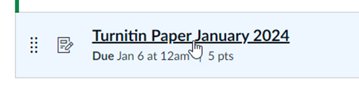 Newly created Turnitin assignment, called, "Turnitin Paper January 2024," displays in the assignments page. A cursor hovers over the assignment's title.