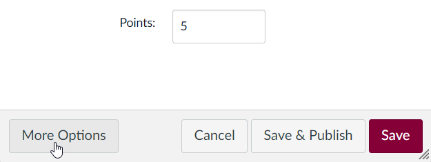 Lower half of "Edit Assignment" window containing buttons. A mouse cursor hovers over "more options."