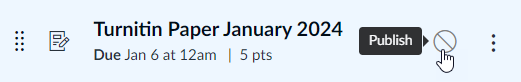 The assignment, called, "Turnitin Paper January 2024," displays in the assignments page. A cursor hovers over the publish button on the right.