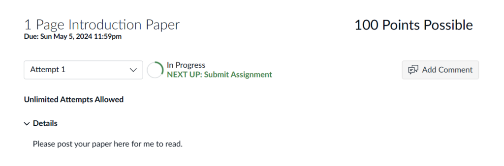 The top of the assignment submission page displays assignment title, point value, due date, attempt number, attempts available, details, and add comment button.