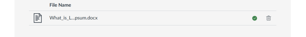 The lower half of the assignment submission page displays the name of the recently uploaded file. The file name has a checkmark and trash can icon found on the right.