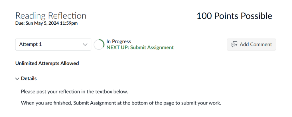 The top of the assignment submission page displays assignment title, point value, due date, attempt number, attempts available, details, and add comment button.