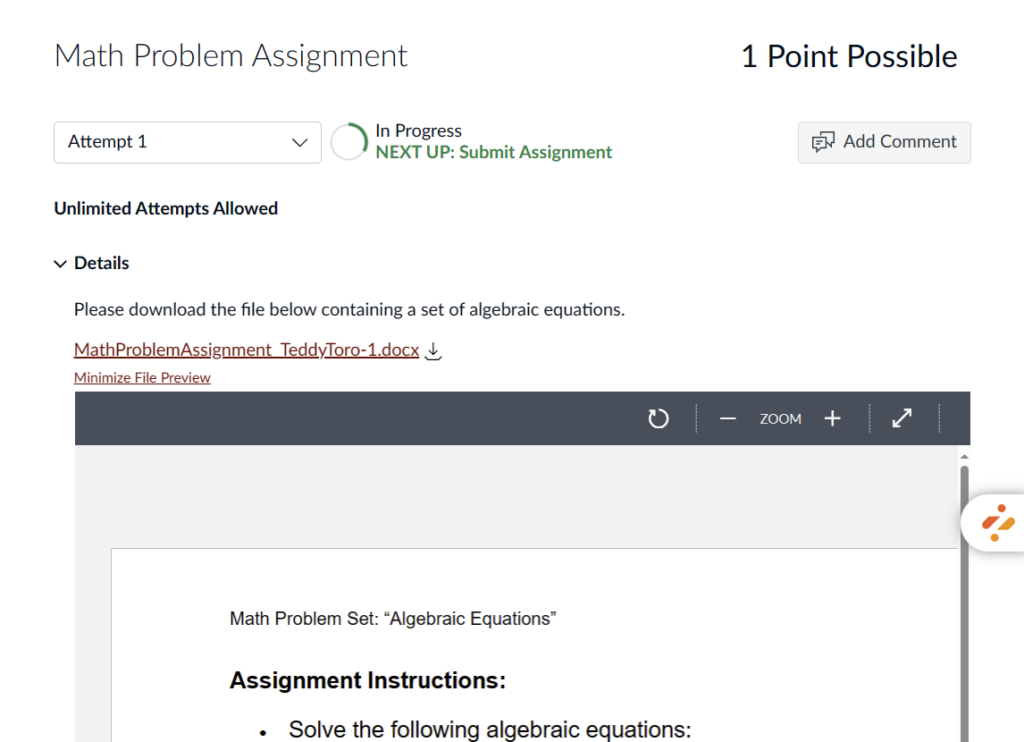 Assignment details page. Document preview of attached file displays on the page.