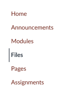 Canvas course menu. Files is selected.