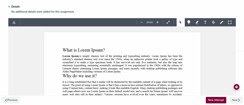 Canvas assignment page showing a preview of the uploaded file with visible sample text.
