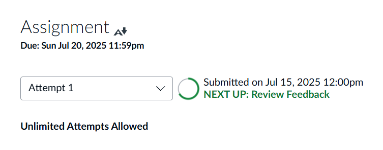 Canvas assignment page showing a successful submission with a date stamp of July 15, 2025, and an indicator for unlimited attempts allowed.